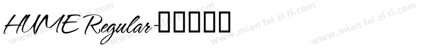 HUME Regular字体转换
